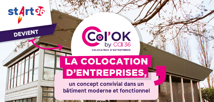  Col'OK by CCI 36 