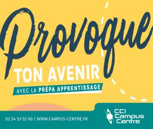 Visuel dispositif Prépa Apprentissage CCI Campus Centre