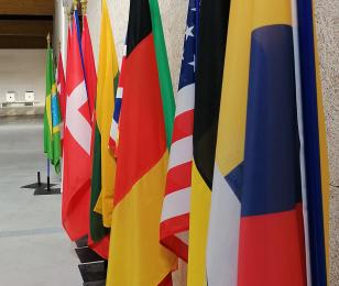 Drapeaux du monde CNTS