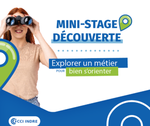 Mini-stage découverte en entreprise