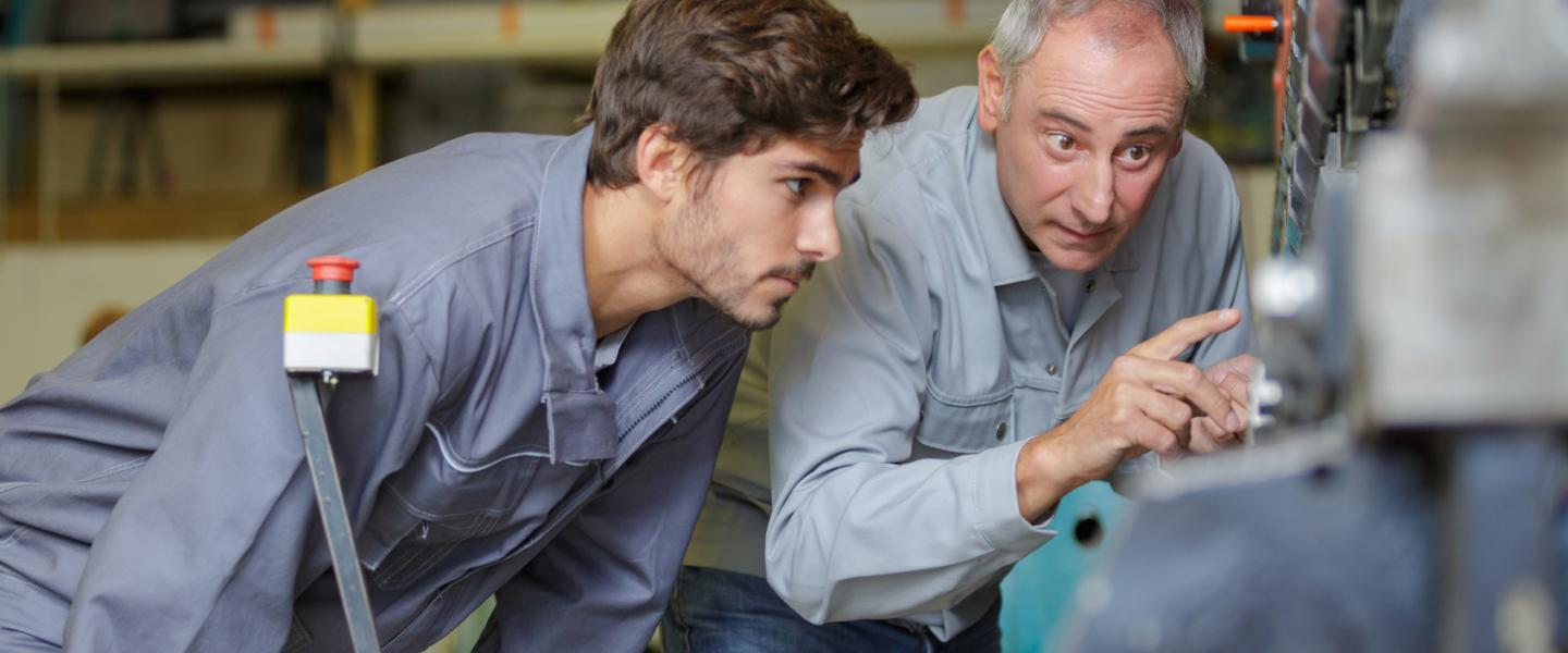 Immersion professionnelle en entreprise