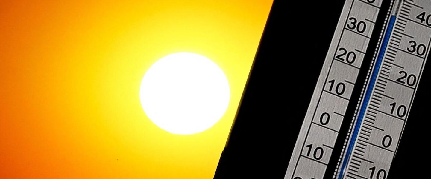 Canicule