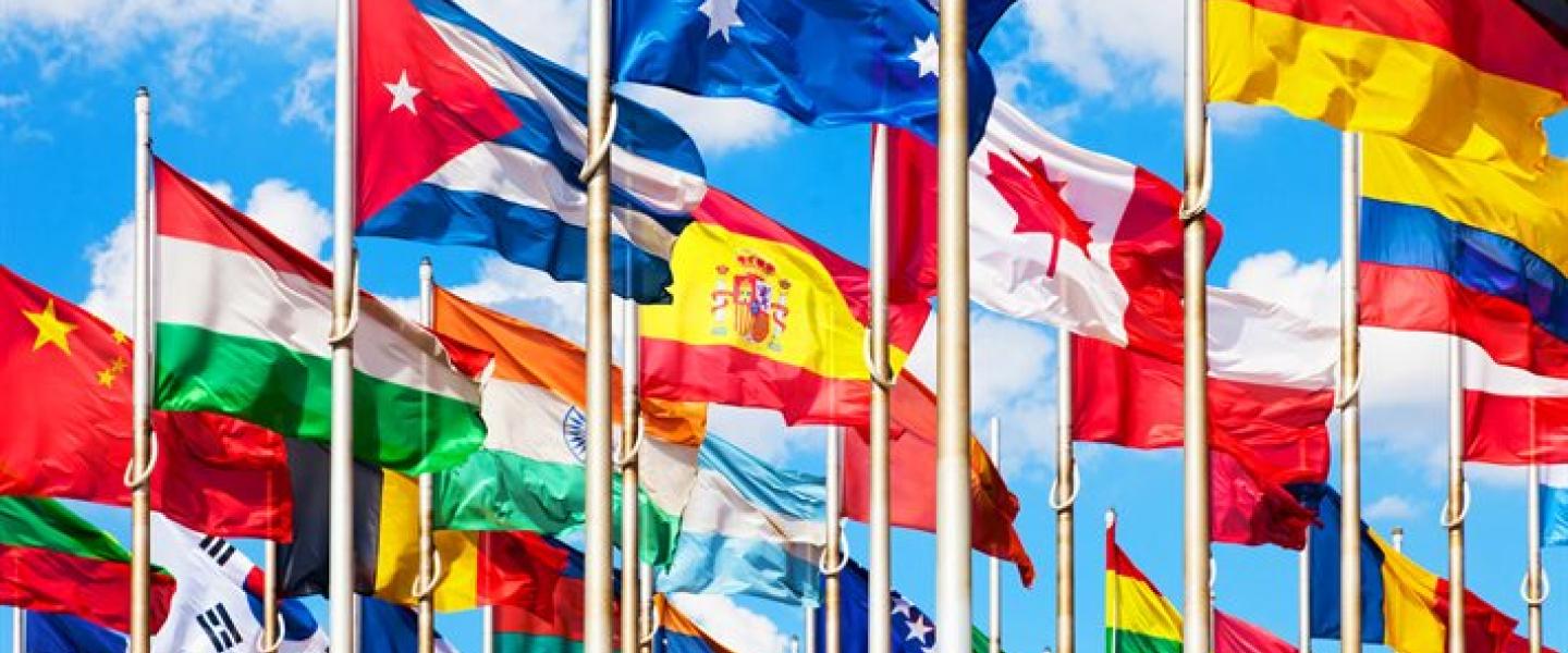 Drapeaux du monde 