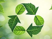 Atelier Ecologie Industrielle Territoriale sur la Valorisation des matières